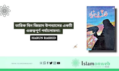 তারিক বিন জিয়াদ উপন্যাসের একটি গুরুত্বপূর্ণ পর্যালোচনা। 