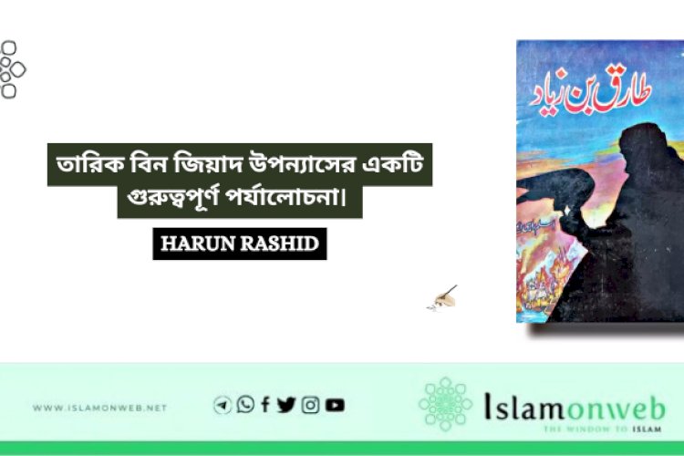 তারিক বিন জিয়াদ উপন্যাসের একটি গুরুত্বপূর্ণ পর্যালোচনা। 