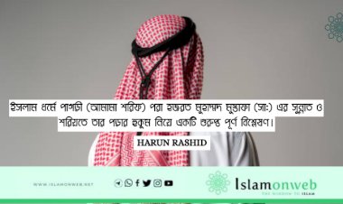 ইসলাম ধর্মে পাগড়ী (আমামা শরিফ) পরা হজরত মুহাম্মদ মুস্তাফা (সা:) এর সুন্নাত ও শরিয়তে তার পড়ার হুকুম নিয়ে একটি গুরুপ্ত পূর্ণ বিশ্লেষণ।
