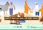কুরবানি কি নিছকই মাংস খাওয়া? একটি বিস্তারিত আলোচনা