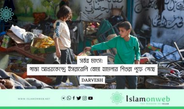 'সর্বত্র মাংস': গাজা আশ্রয়কেন্দ্রে ইসরায়েলি বোমা হামলায় শিশুরা পুড়ে গেছে