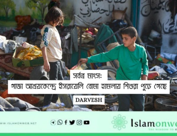 'সর্বত্র মাংস': গাজা আশ্রয়কেন্দ্রে ইসরায়েলি বোমা হামলায় শিশুরা পুড়ে গেছে