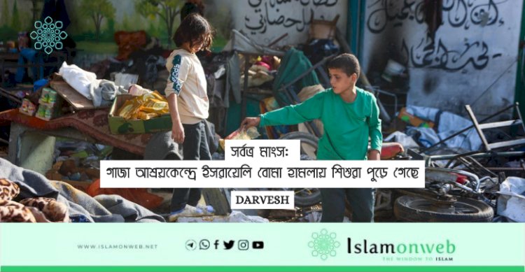 'সর্বত্র মাংস': গাজা আশ্রয়কেন্দ্রে ইসরায়েলি বোমা হামলায় শিশুরা পুড়ে গেছে