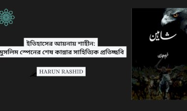 ইতিহাসের আয়নায় শাহীন: মুসলিম স্পেনের শেষ কান্নার সাহিত্যিক প্রতিচ্ছবি