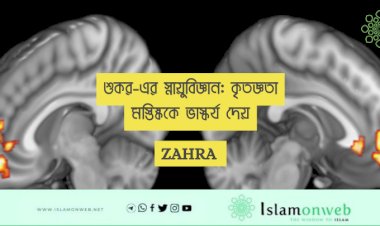 শুকর-এর স্নায়ুবিজ্ঞান: কৃতজ্ঞতা মস্তিষ্ককে ভাস্কর্য দেয়