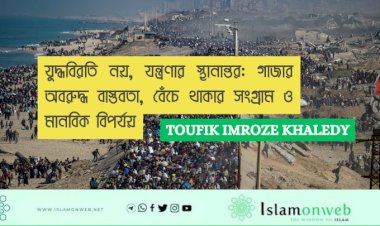 যুদ্ধবিরতি নয়, যন্ত্রণার স্থানান্তর: গাজার অবরুদ্ধ বাস্তবতা, বেঁচে থাকার সংগ্রাম ও মানবিক বিপর্যয়