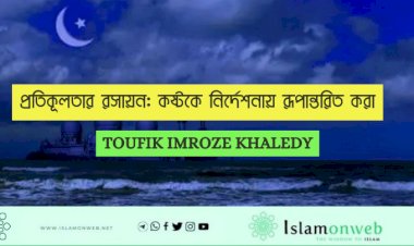 প্রতিকূলতার রসায়ন: কষ্টকে নির্দেশনায় রূপান্তরিত করা