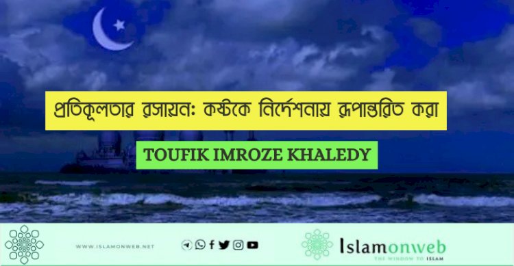 প্রতিকূলতার রসায়ন: কষ্টকে নির্দেশনায় রূপান্তরিত করা