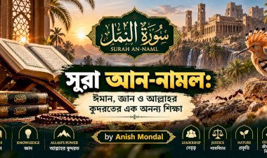 সূরা আন-নামল: ঈমান, জ্ঞান ও আল্লাহর কুদরতের এক অনন্য শিক্ষা